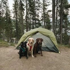 NEMO Dagger OSMO 2P Tent -HOKA Online Shop b00254f7 4577 49af a604 c8428e1202da